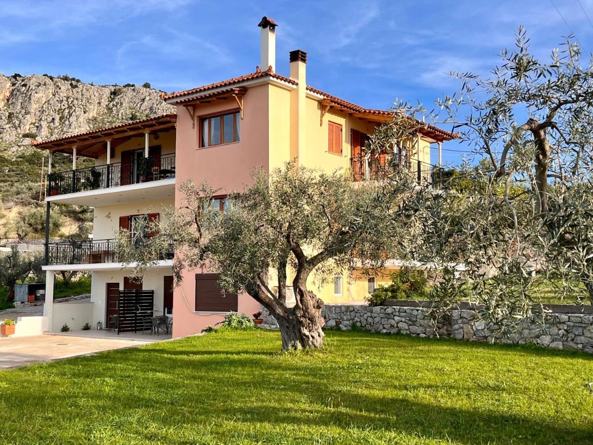 Ενtree Guest House Near Palamidi Castle Nafplio Exterior foto