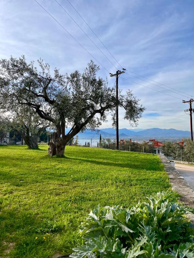 Ενtree Guest House Near Palamidi Castle Nafplio Exterior foto